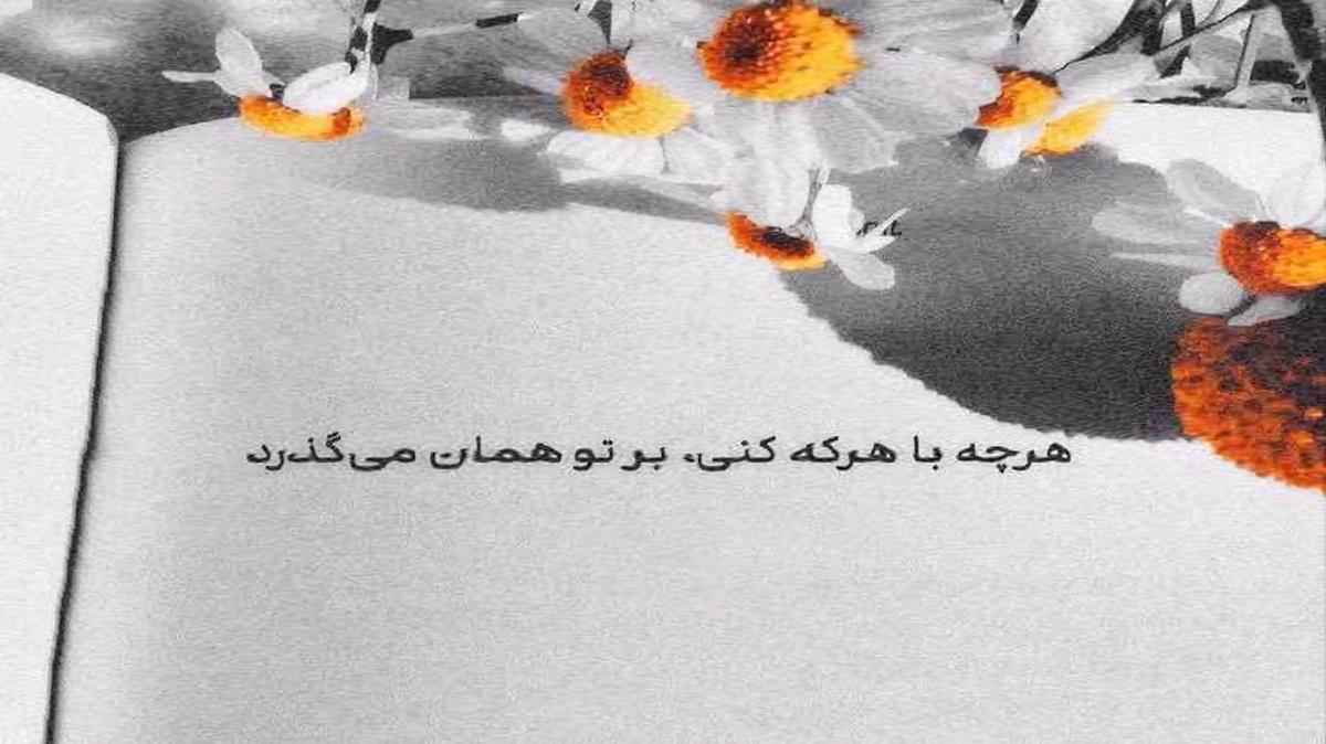 اصلا قرار نبود داستانمون اینجوری تموم شه با صدای ویدا